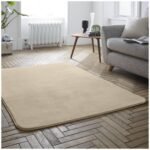 Velvet Touch Rugs - Image 3