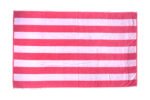 Broady Stripe Pink Beach Towel