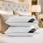 Luxury Egyptian Cotton Pillow Pair - Black