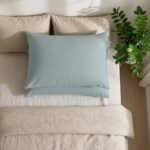 Super Soft Cozy Plain Pillowcase Set - Duck Egg