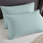 2 Pack Soft Plain Dyed Pillowcases - Duck Egg - Image 2