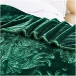 Deluxe Fleece Sherpa Cozy Blanket - Dark Green
