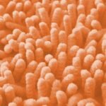 2Piece Loop Bath Mat Set - Peach