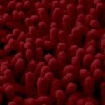2Piece Loop Bath Mat Set - Deep Red