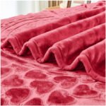 Blossom Heart Heavy Blanket 4kg - Red - Image 7