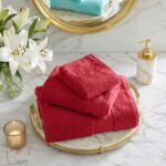 Ultra Soft Plush Absorbent Towel Set - Wine