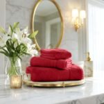 Ultra Soft Plush Absorbent Towel Set - Wine